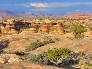 Slickrock Trail